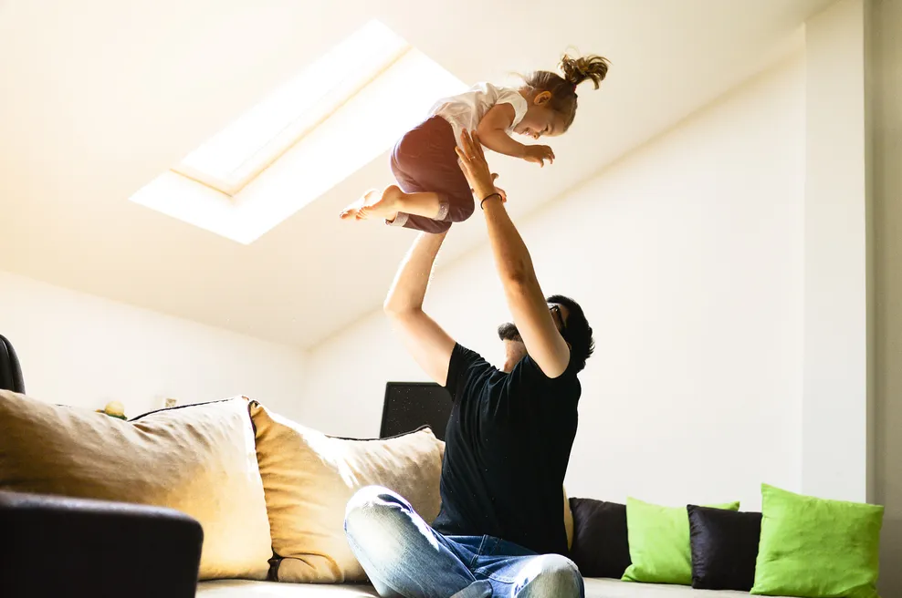 Rooflights hero image